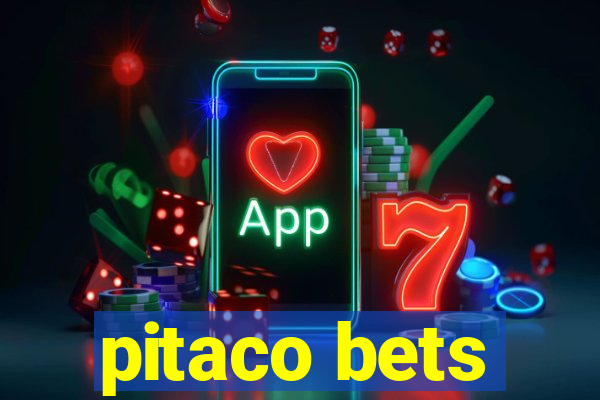 pitaco bets